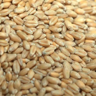 АЛЕКСЕИЧ - изображение 2