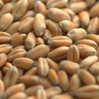 АЛЕКСЕИЧ - изображение 4