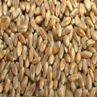 БЕЗОСТАЯ 100 - изображение 4