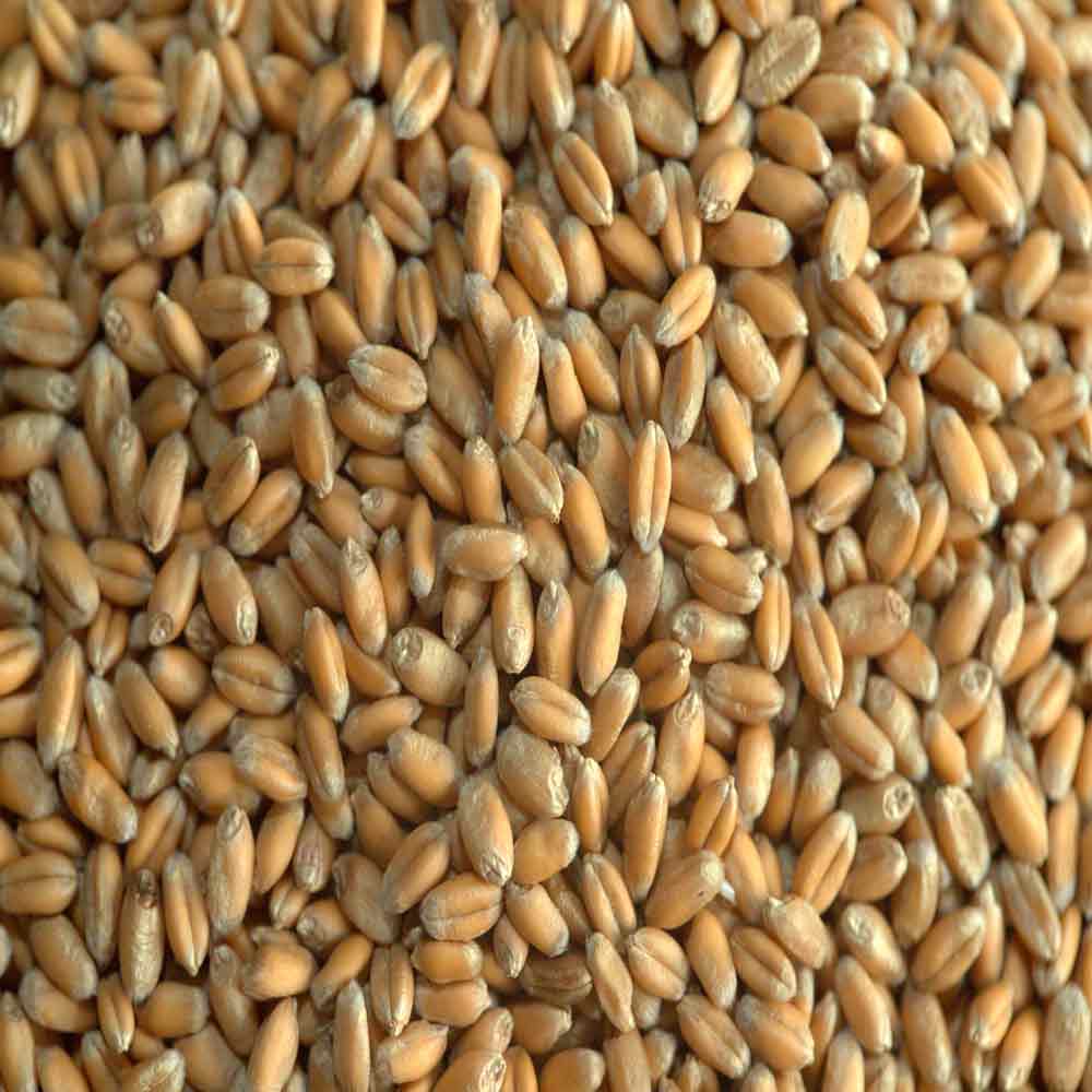 БУМБА - изображение 2