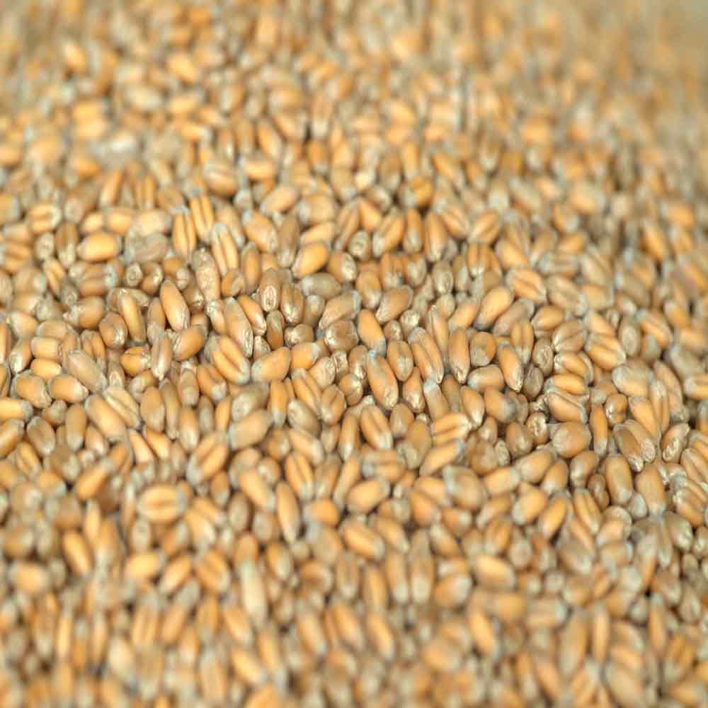 КЛАССИКА - изображение 2