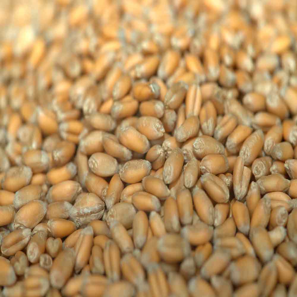 КЛАССИКА - изображение 4