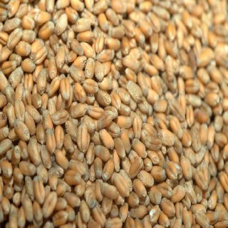 ГЕРДА - изображение 2