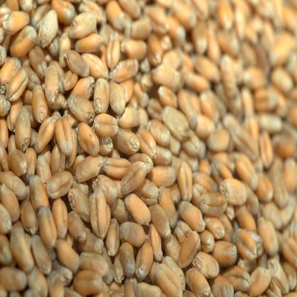 ГЕРДА - изображение 3