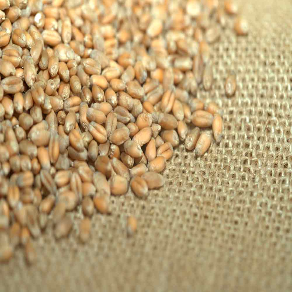 ГЕРДА - изображение 4