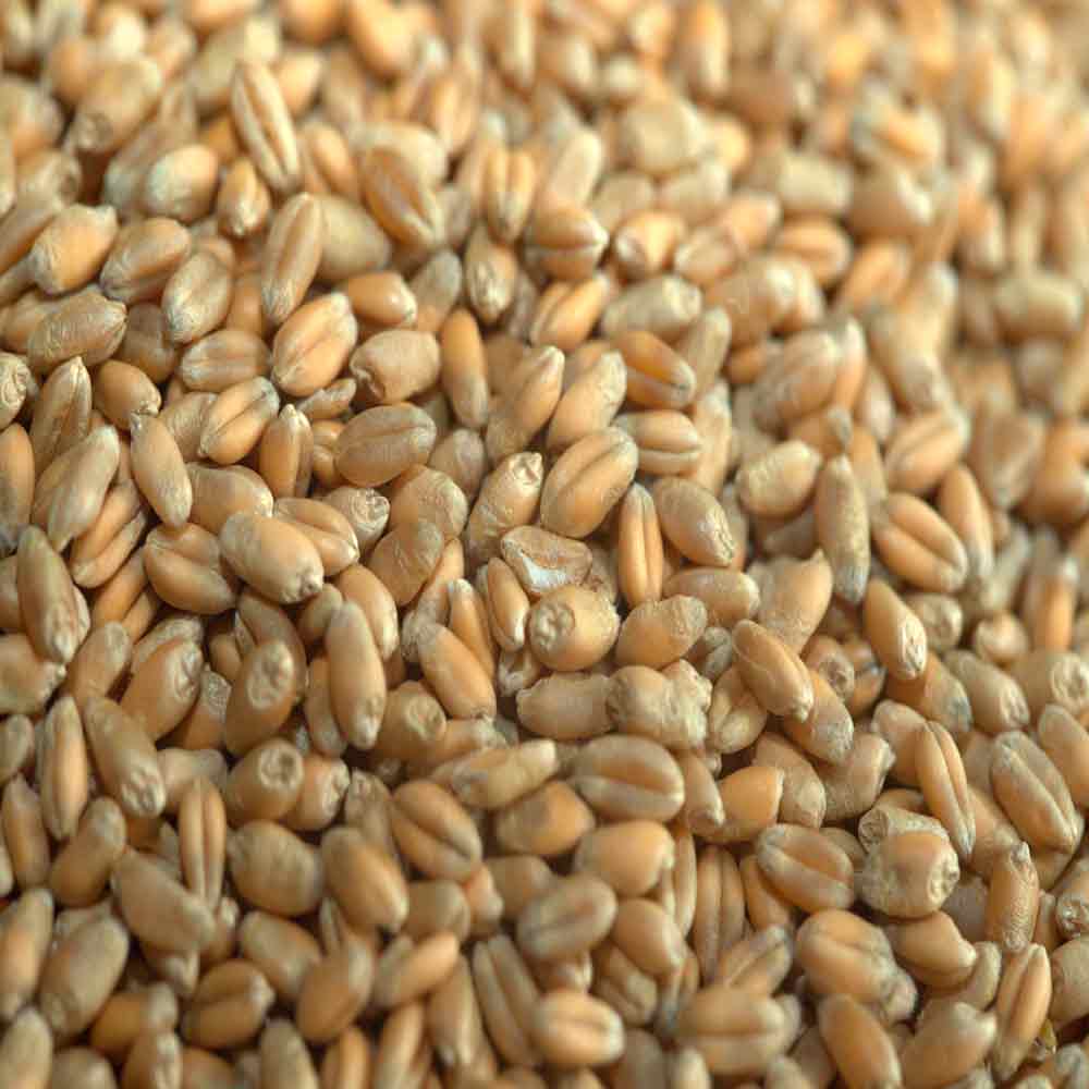 ГРОМ - изображение 2