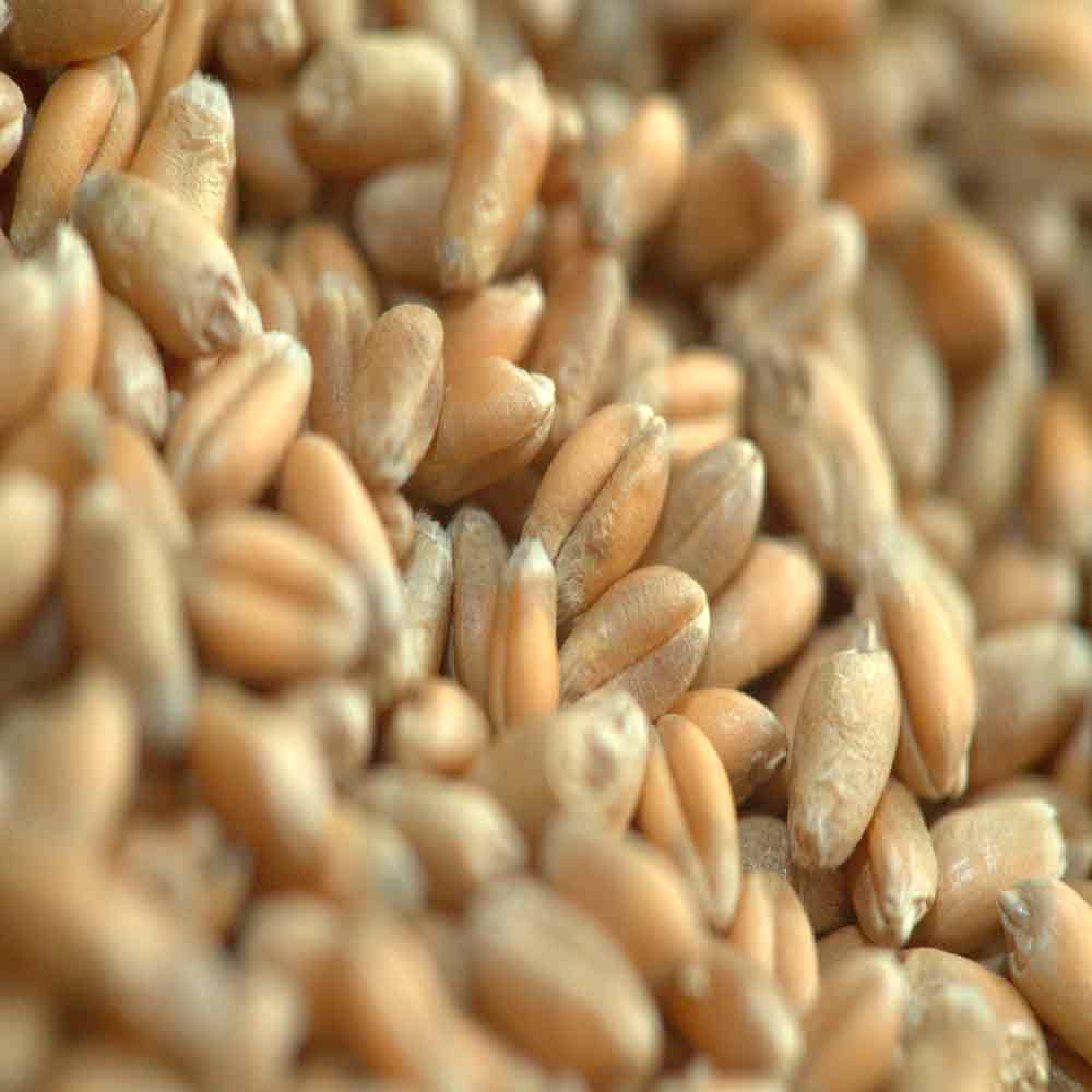 ГРОМ - изображение 3