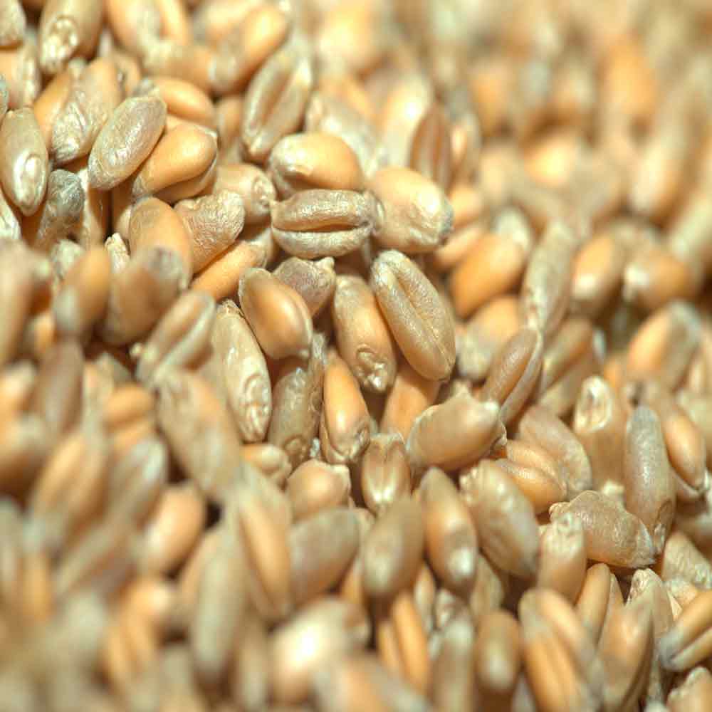 ГРОМ - изображение 4