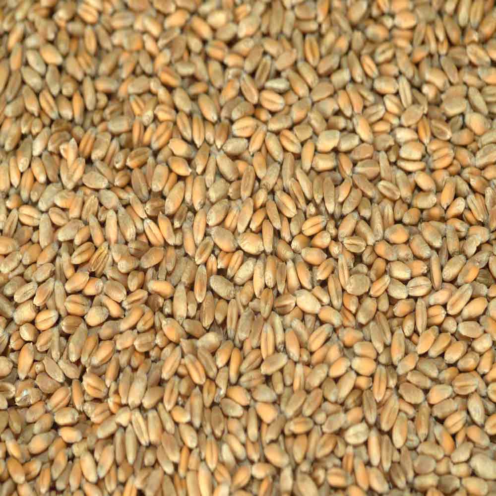 ГОМЕР - изображение 2