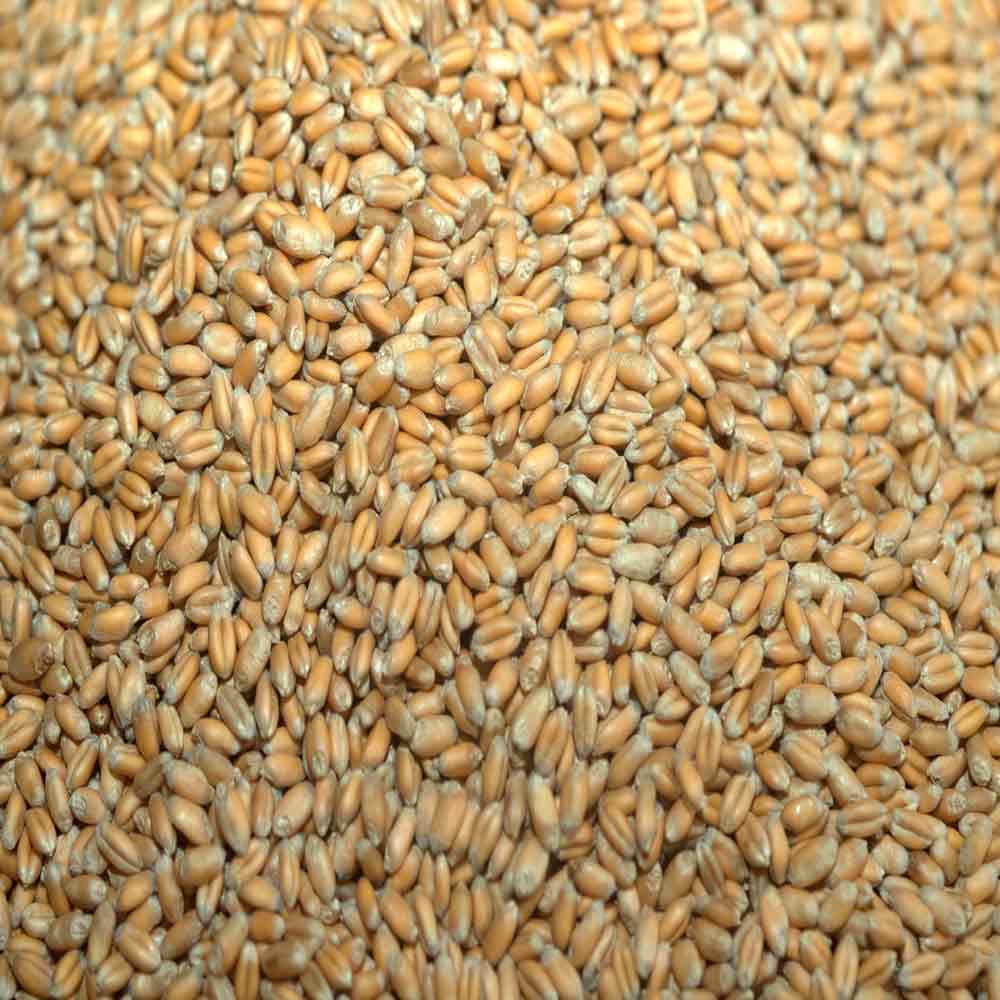 ГРАФ - изображение 4