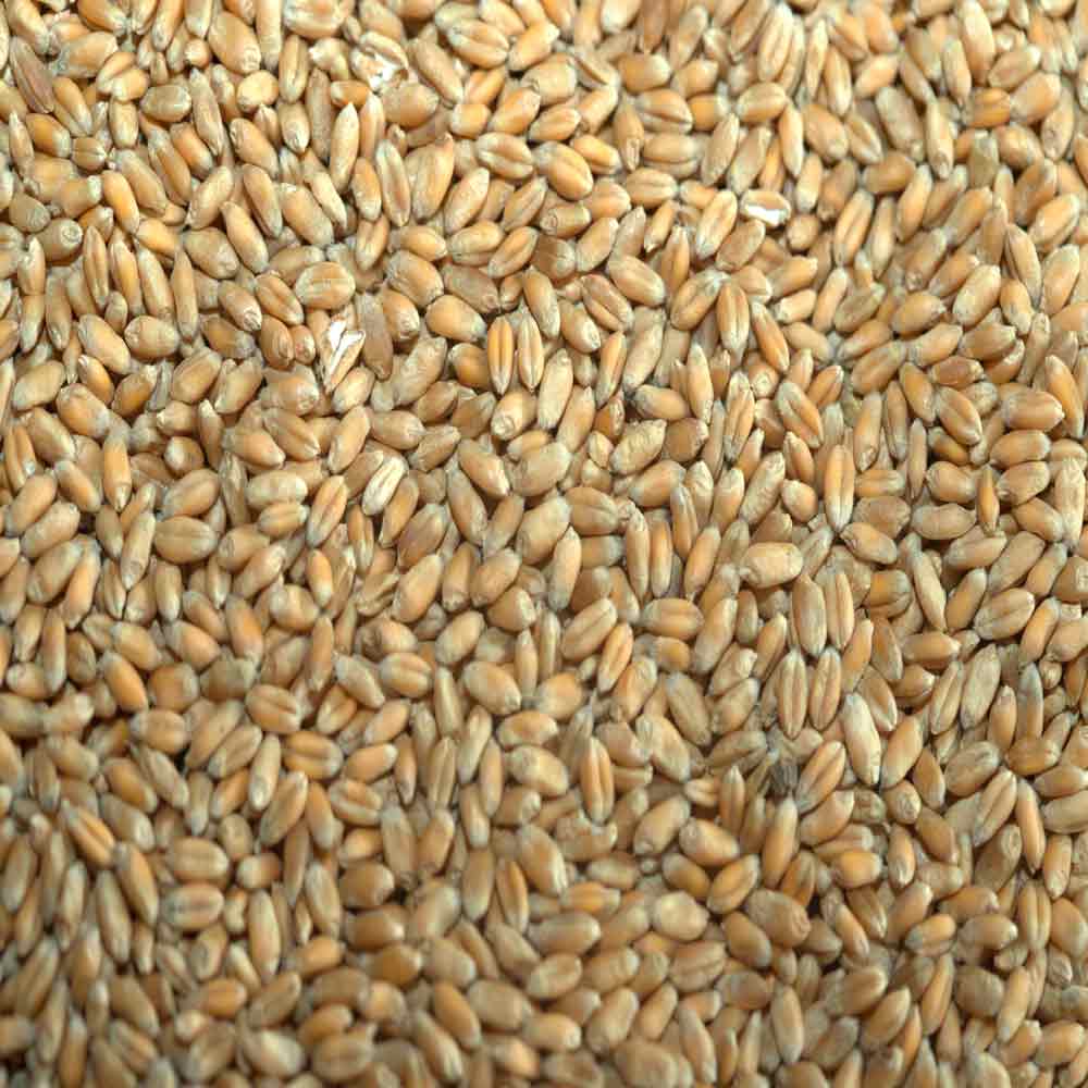 ГУРТ - изображение 2