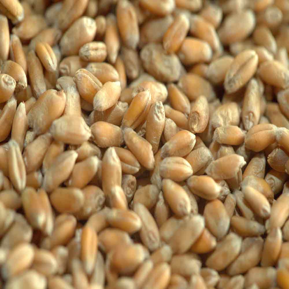 ГУРТ - изображение 3