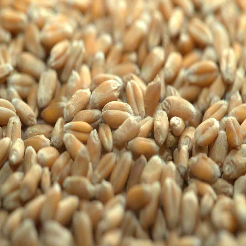 ГУРТ - изображение 4