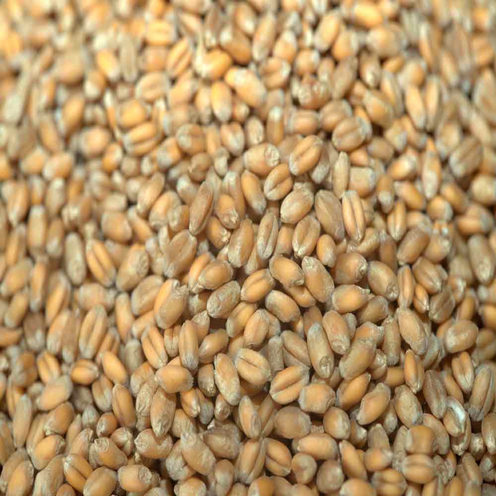 ИЛИАДА - изображение 2