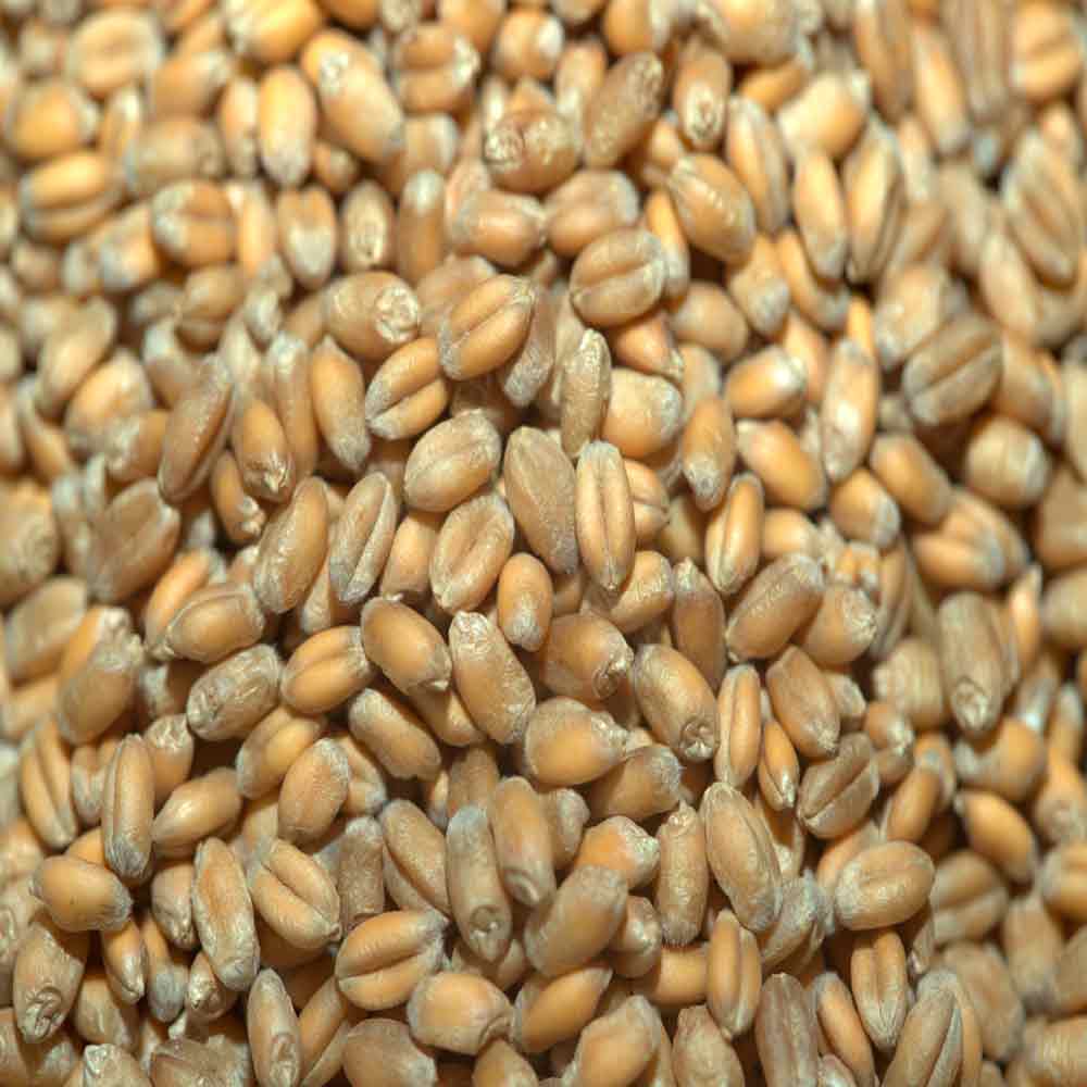 ИЛИАДА - изображение 4